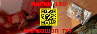 индика Будённовск