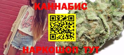индика Будённовск