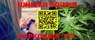 индика Будённовск