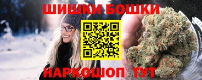 индика Будённовск