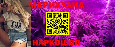 индика Будённовск