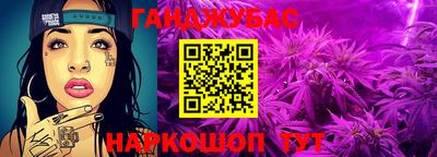 индика Будённовск