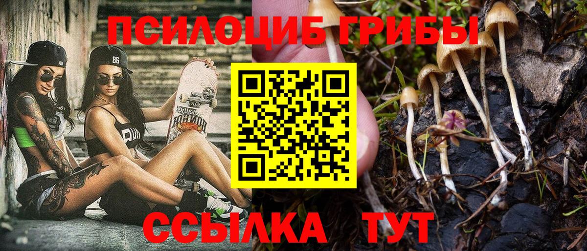 Тельмана  Галлюциногенные грибы ЛСД  Вход с VPN 