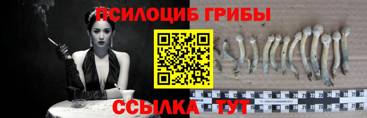 Галлюциногенные грибы прущие грибы Тельмана